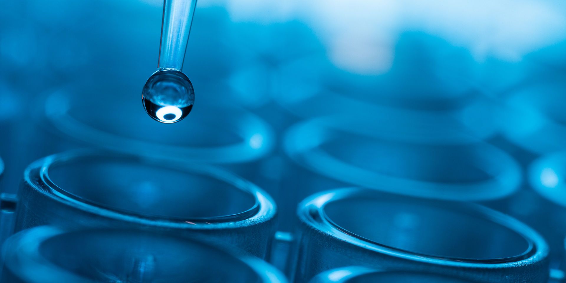 Clinical Trial