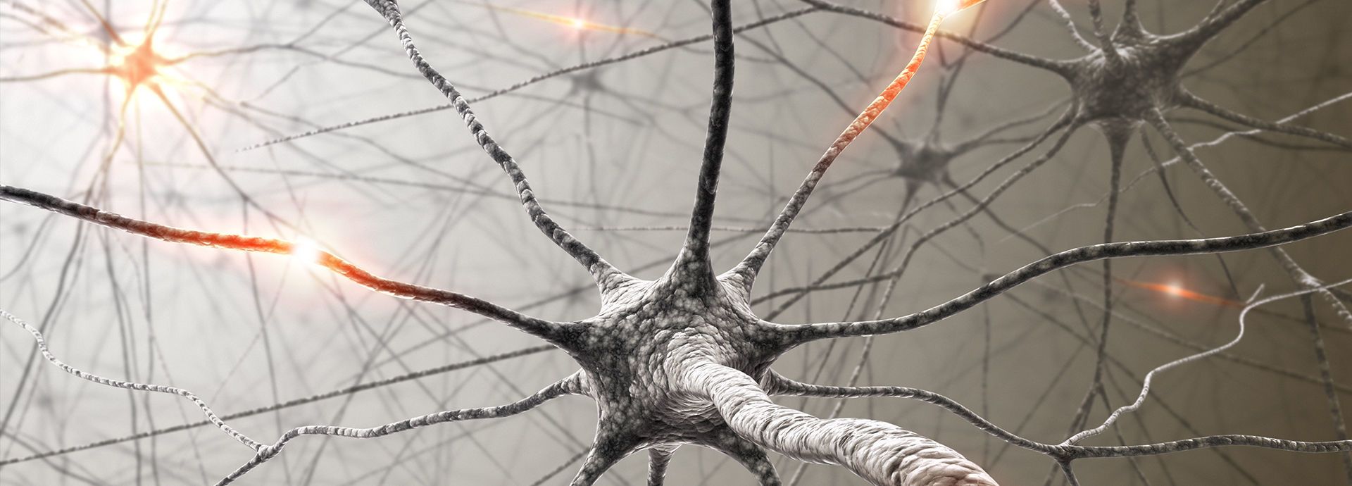 Neurology
